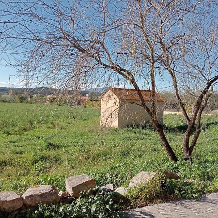 Alojamiento Familiar Con Chimenea - Alt Emporda Sant Climent Sescebes Exterior photo