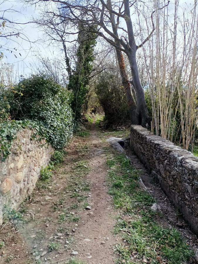 Alojamiento Familiar Con Chimenea - Alt Emporda Sant Climent Sescebes Exterior photo